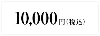 10,000円（税込）