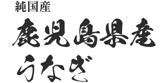 純国産 鹿児島県産うなぎ