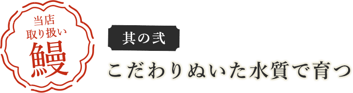 当店取り扱い鰻 其の弍 こだわりぬいた水質で育つ